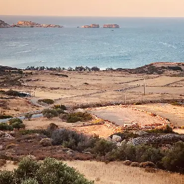 excavation-excavator