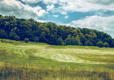 landscap-application