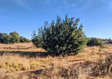 brush-cleaning-machinery