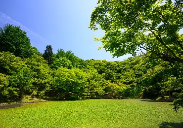 landscaping-excavator-supplier