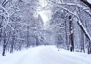 storm-cleanup-excavator