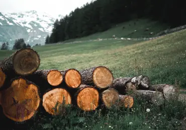 logging-equipment
