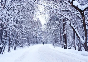 snow-removal-equipment