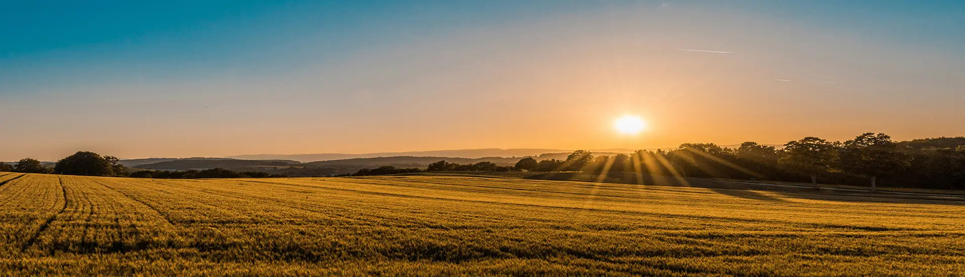 broad application prospect