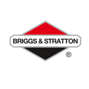Briggs & Stratton engine